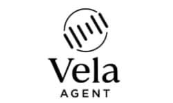 Franchise Opportunities in [location]