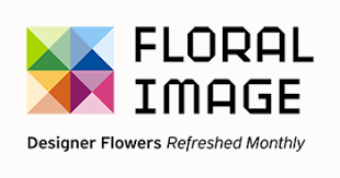 Franchise Opportunities in [location]