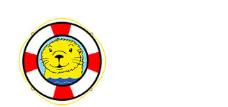 Franchise Investment