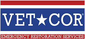 Eco-Friendly Franchises